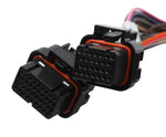 Terminator Stealth 2x4 Main Harness image 2