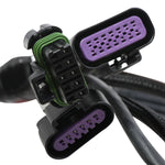 Terminator Stealth 2x4 Main Harness image 4