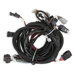 Holley EFI Coyote Ti-VCT Main Harness for Holley EFI HP Smart Coils (2011-2017) image 1