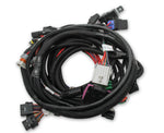 Holley EFI Coyote Ti-VCT Main Harness for Holley EFI HP Smart Coils (2011-2017) image 2