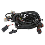 Holley EFI Coyote Ti-VCT Main Harness for Holley EFI HP Smart Coils (2011-2017) image 3