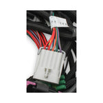 Holley EFI Coyote Ti-VCT Main Harness for Holley EFI HP Smart Coils (2011-2017) image 4