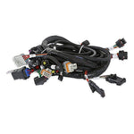 Holley EFI Coyote Ti-VCT Main Harness for Holley EFI HP Smart Coils (2011-2017) image 5