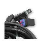 Holley EFI Coyote Ti-VCT Main Harness for Holley EFI HP Smart Coils (2011-2017) image 6