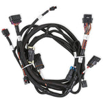 Holley EFI Ford Coyote Ti-VCT Sub Harness (2011-2012) image 1