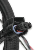 Holley EFI Ford Coyote Ti-VCT Sub Harness (2011-2012) image 4