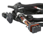 Holley EFI Ford Coyote Ti-VCT Sub Harness (2011-2012) image 5