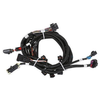 Holley EFI Ford Coyote Ti-VCT Sub Harness (2013-2017)