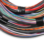 Unterminated 15' Flying Lead Main Harness image 3