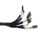 Holley EFI Benchtop Harness image 4
