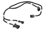 Holley EFI GEN III HEMI VVT and SRV Harness image 2