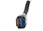 Holley EFI GEN III HEMI VVT and SRV Harness image 6