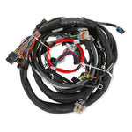 LS1/6 (24x/1x) Engine Main Harness - Extended Length image 1
