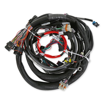 LS1/6 (24x/1x) Engine Main Harness - Extended Length
