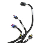 LS1/6 (24x/1x) Engine Main Harness - Extended Length image 3
