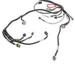 LS1/6 (24x/1x) Engine Main Harness - Extended Length image 4