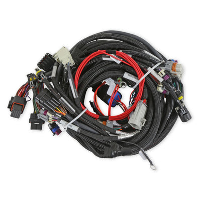 LS2/3/7+ (58x/4x) Engine Main Harness - Extended Length