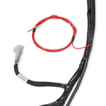 LS2/3/7+ (58x/4x) Engine Main Harness - Extended Length image 5