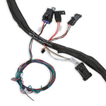 LS2/3/7+ (58x/4x) Engine Main Harness - Extended Length image 6