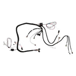 Holley EFI LS 58X 8-Injector TBI Harness image 6