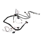 Holley EFI LS 58X 8-Injector TBI Harness image 1