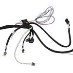 Holley EFI LS 58X 8-Injector TBI Harness image 4