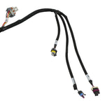Holley EFI LS 58X 8-Injector TBI Harness image 5
