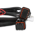 Injector Driver Harness image 5