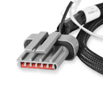 Ford TFI Ignition Harness image 3