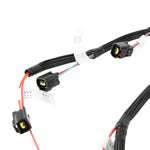 Ford 2V Modular Coil Harness image 4