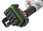 Ford Coyote Ti-VCT Coil Harness (2015.5-2017) image 2