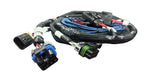 HyperSpark Plug and Play Main Harness image 2