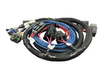 HyperSpark Plug and Play Main Harness image 3