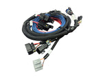HyperSpark Plug and Play Main Harness image 4