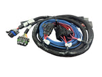 HyperSpark Plug and Play Main Harness image 6