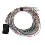 Connector J1A/B Input/Outputs Auxiliary Harness image 2