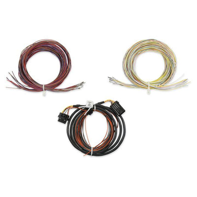 Dominator EFI Auxiliary Harness - Dominator EFI Connector J2A Auxiliary Harness