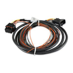 Dominator EFI Auxiliary Harness - Dominator EFI Connector J2A Auxiliary Harness image 4