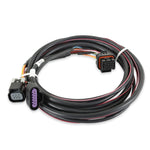 Holley EFI GM Drive-By-Wire Harness image 1