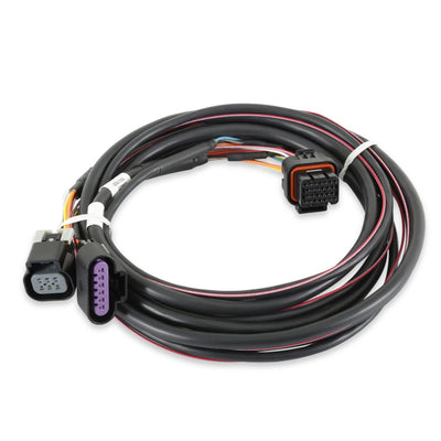 Holley EFI GM Drive-By-Wire Harness
