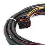 Holley EFI GM Drive-By-Wire Harness image 3