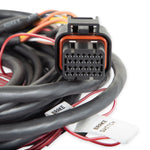 Dominator EFI GM Dual Drive-By-Wire Harness image 4