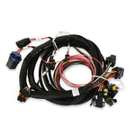 Terminator Main Harness image 1