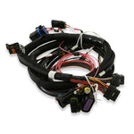 Terminator Main Harness image 2
