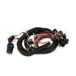 Terminator Main Harness image 3