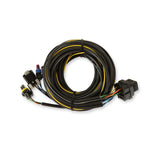 Digital Dash Vehicle Harness - Terminated image 4