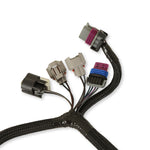 Terminator Throttle Body Harness image 2