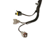 Terminator Throttle Body Harness image 3