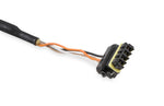 CAN Adapter Harness, 4' image 3