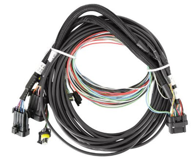 Holley EFI Pro Dash Standalone Service Harness